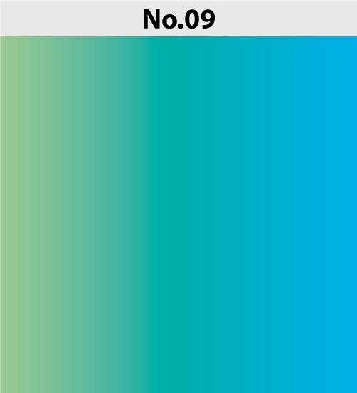 No.9
